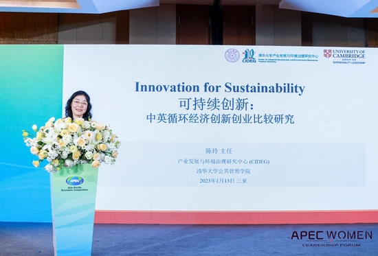 清华大学陈玲：企业家精神是促进循环经济创新创业的内生动力